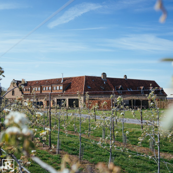 Chef Wouter Van Hoof van Hoeve Roosbeek deelt zijn geheim voor heerlijke kalfszwezeriken