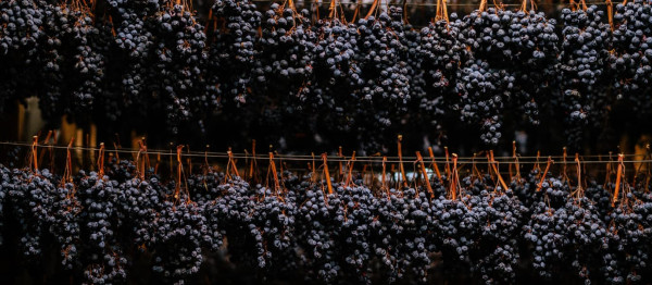 Appassimento: de droogmethode die Italiaanse wijnen karakter geeft