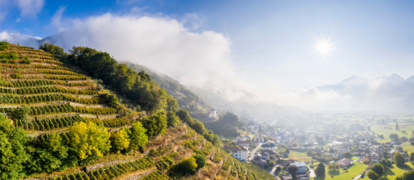 Berglucht en Nebbiolo: het geheime recept van Valtellina