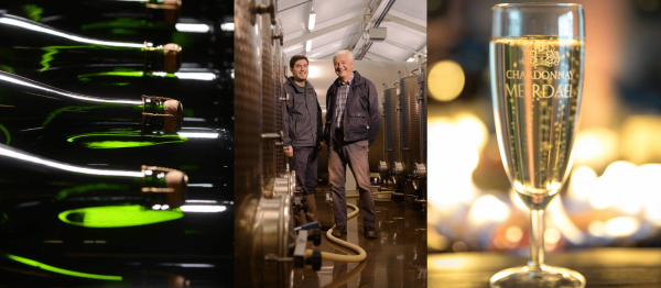 Chardonnay Meerdael in Oud-Heverlee: pionier van Belgische mousserende wijn