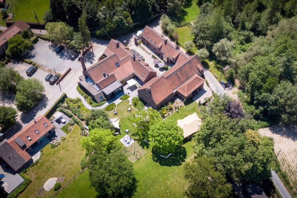 Maak hopscheuten volgens de regels van de  kunst met deze tip van restaurant Eenhoorn in Asse