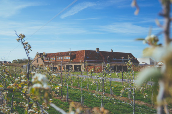 Luxueus genieten en logeren? Dan is Hoeve Roosbeek in het mooie Haspengouw jouw next destination