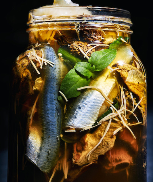 Ceviche met sardien, kombucha en wilde paddenstoelen
