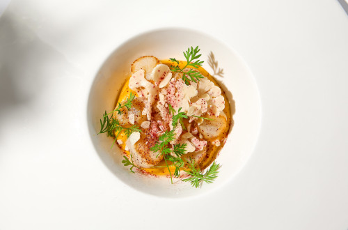 Risotto met geroosterde sint-jakobsschelpen & bloemkool