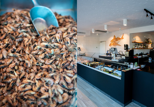 Lang leve de visboer: hier haal je de lekkerste verse vis