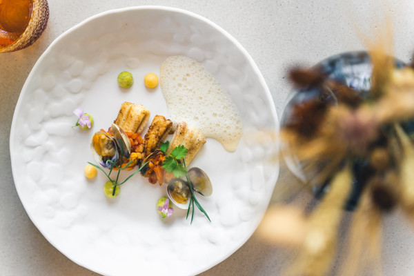 HOTSPOTS: 5x West-Vlaamse pareltjes